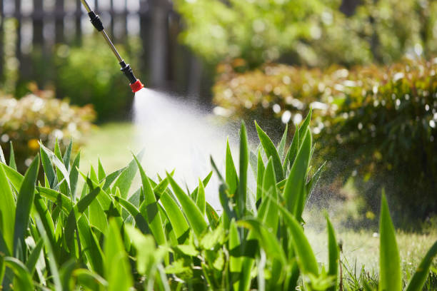 24/7 Emergency Fumigation Services experts in Ramsey, MN
