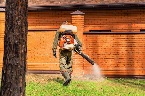 Top rated local Fumigation Services specialists in Ramsey, MN